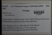 Image Associated With the Occurence